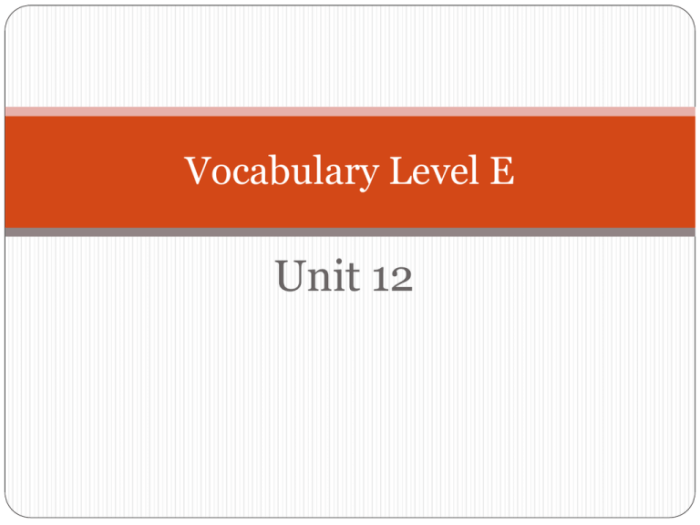 Unit 5 vocabulary level e