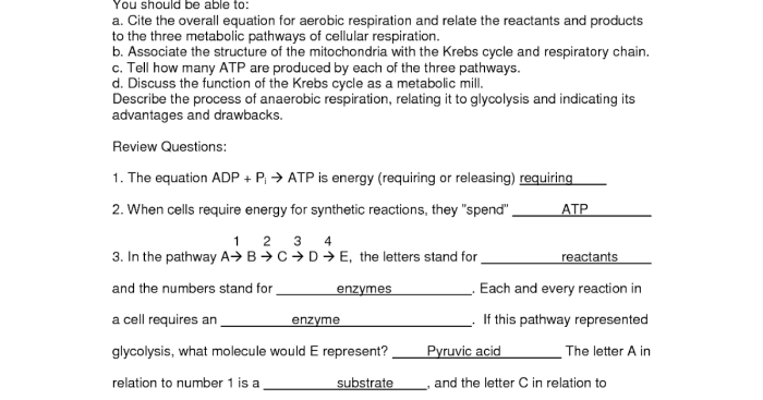 Cellular communication pogil answer key