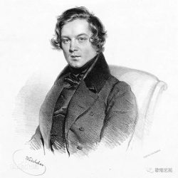 Robert schumann's a poet's love is a