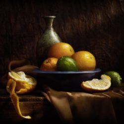 Still life ross harold fruit behance artist food color music