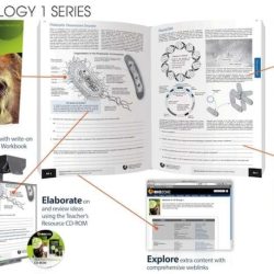 Ap biology biozone workbook answers