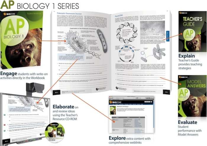 Ap biology biozone workbook answers