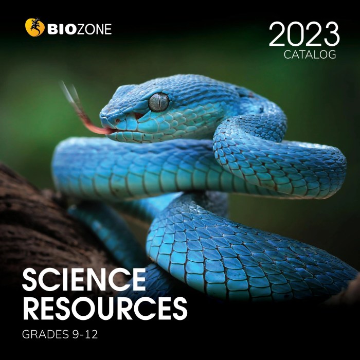 Ap biology biozone workbook answers