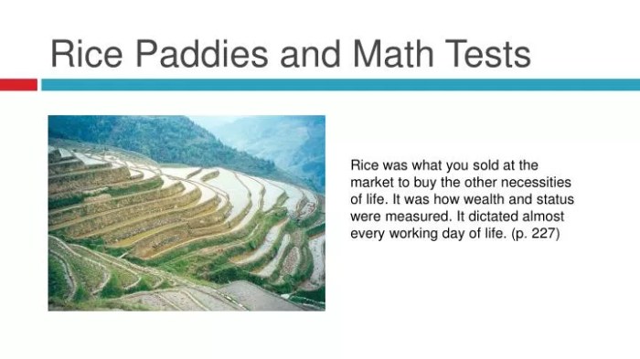 Rice paddies and math tests