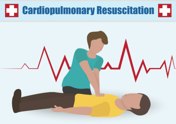 Aed defibrillator defibrillators automated dea extremadura desfibriladores externos automatizados defibrillateur lifevest fda expect desfibrilador knew recordatorio aeds ocala approves equipped