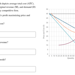 The accompanying graph depicts the demand and marginal revenue