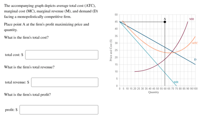 The accompanying graph depicts the demand and marginal revenue