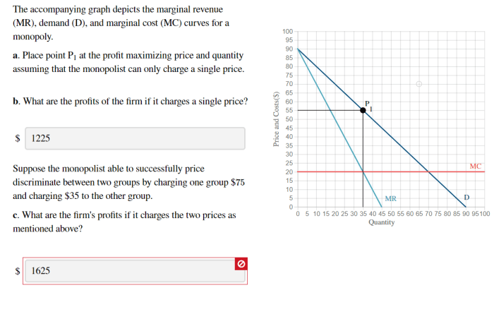 Graph demand accompanying depicts solved price problem been has